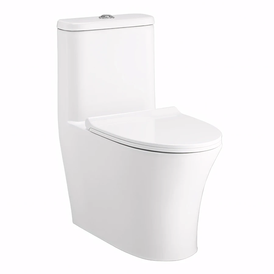 Bồn cầu 1 khối Cotto C11001HNOS