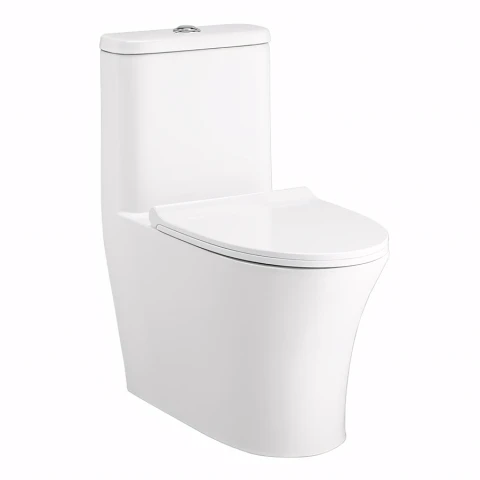Bồn cầu 1 khối Cotto C11001HNOS