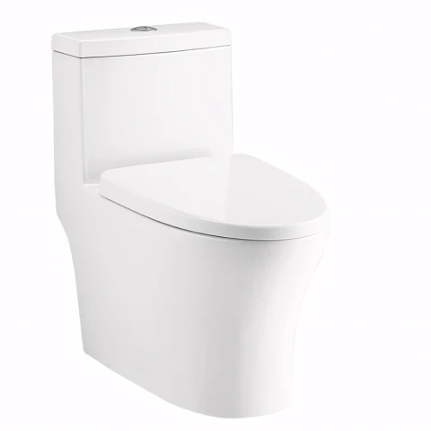 Bồn cầu 1 khối Cotto C11004HOS