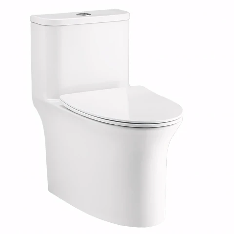 Bồn cầu 1 khối Cotto C11006HOS