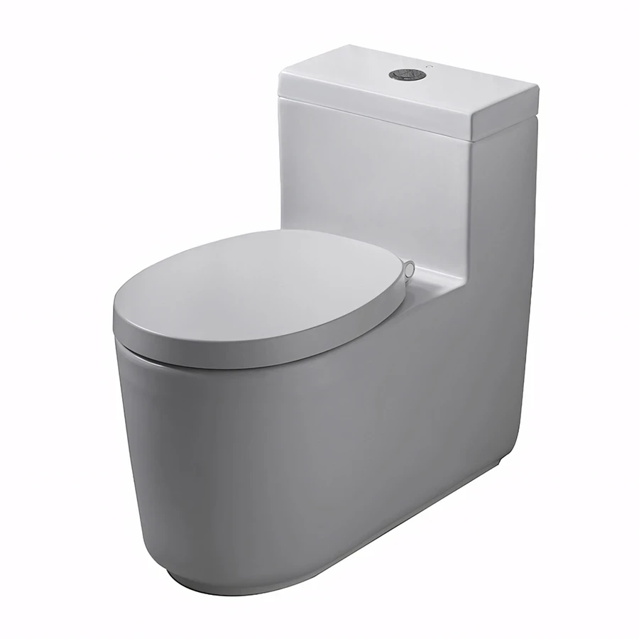 Bồn cầu 1 khối COTTO CPW10007/MWH#BN2