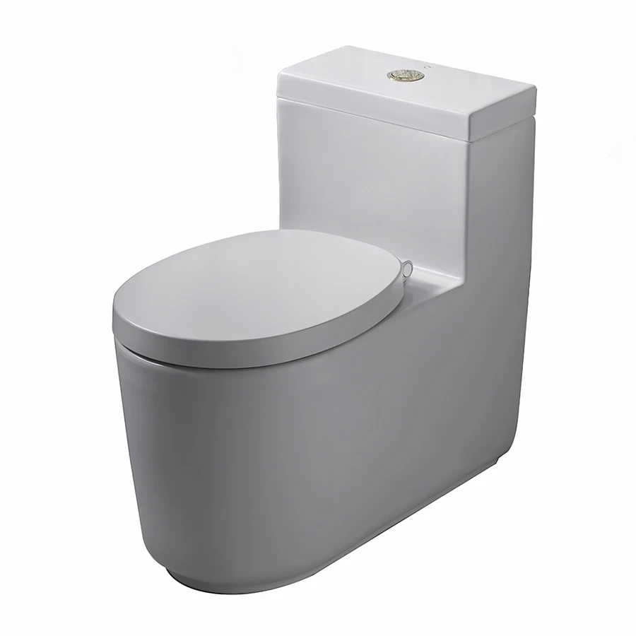 Bồn cầu 1 khối COTTO CPW10007/MWH#GR2