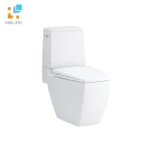 Bồn cầu 2 khối COTTO C13507 1