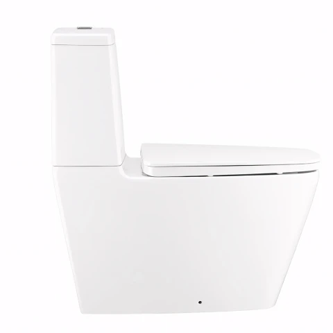 Bồn cầu 2 khối Cotto C135107