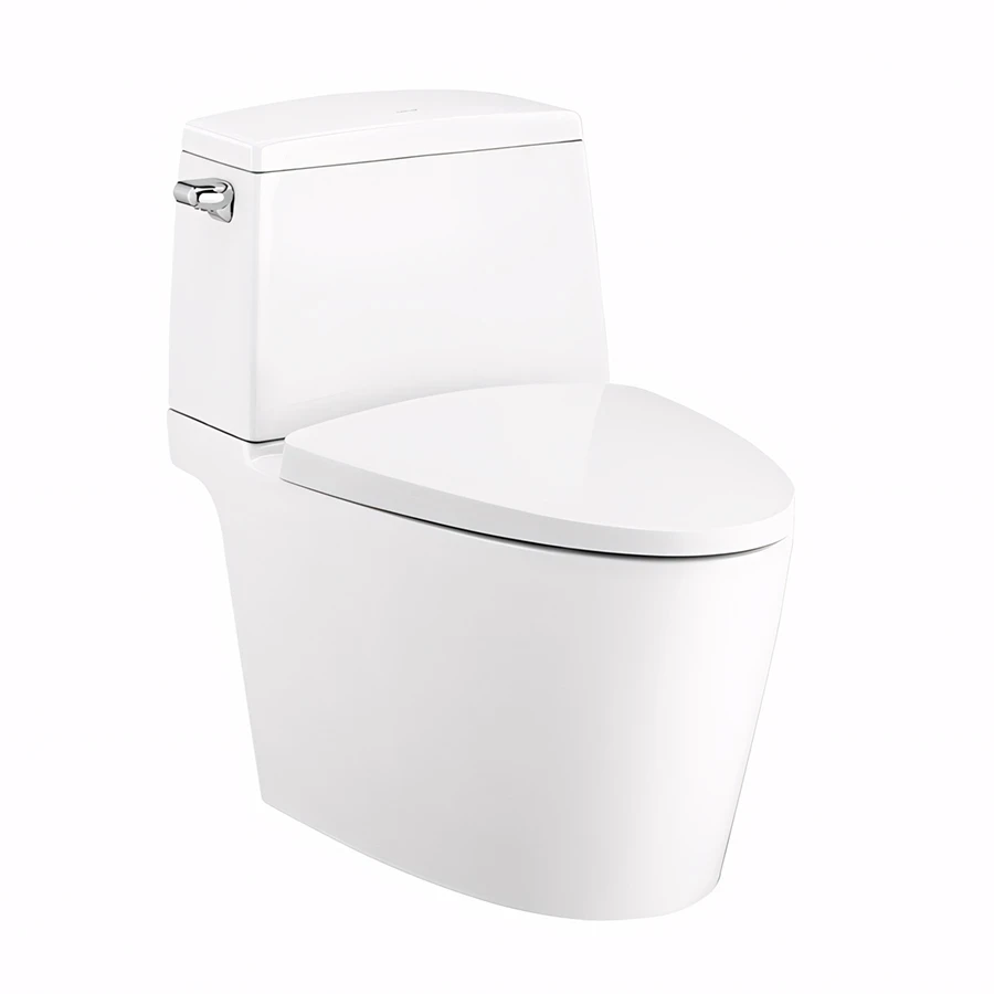 Bồn cầu 2 khối Cotto C13537