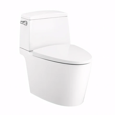 Bồn cầu 2 khối Cotto C13537