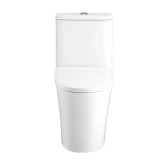 Bồn cầu 1 khối Cotto C11001HNOS 2