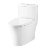 Bồn cầu 1 khối Cotto C11004HOS 3