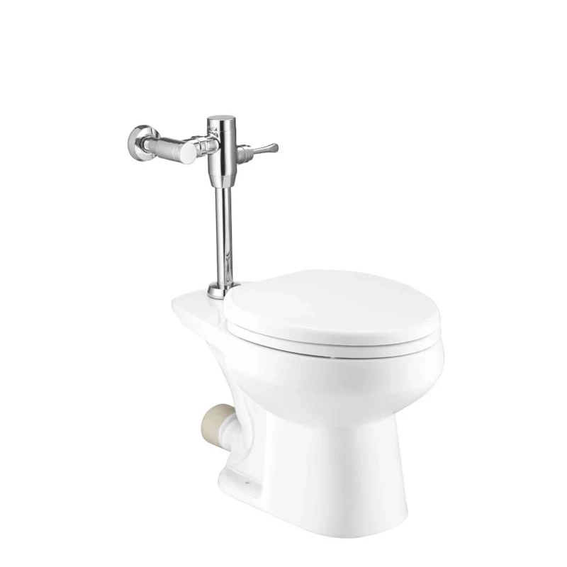 Ảnh Bồn cầu dùng van xả COTTO C1451 1