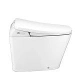 Bồn cầu điện tử Cotto C10207 3