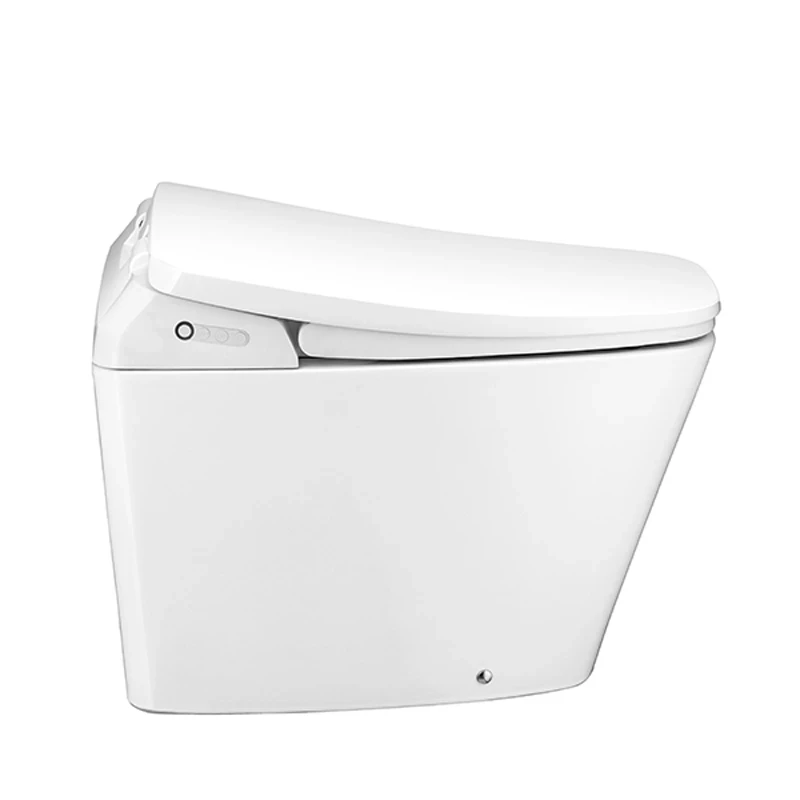 Ảnh Bồn cầu điện tử Cotto C10207 3