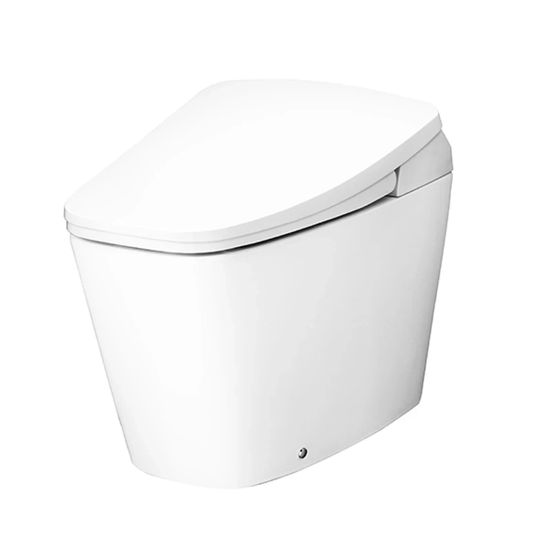 Ảnh Bồn cầu điện tử Cotto C10207 4