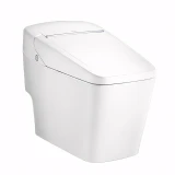 Bồn cầu điện tử Cotto C10217 4