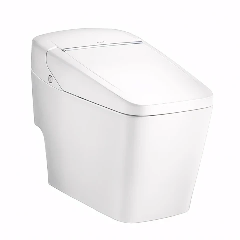 Ảnh Bồn cầu điện tử Cotto C10217 4