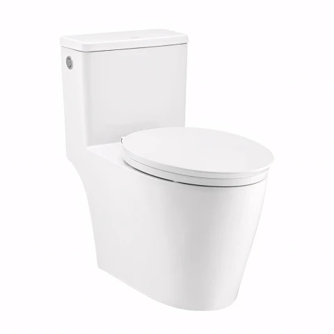 Bồn cầu xả không chạm Cotto C110517