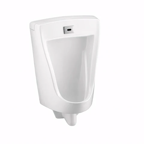 Bồn tiểu nam cảm ứng Cotto C3011(AC)