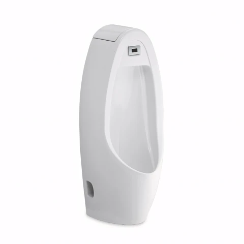 Bồn tiểu nam cảm ứng Cotto C31237DC
