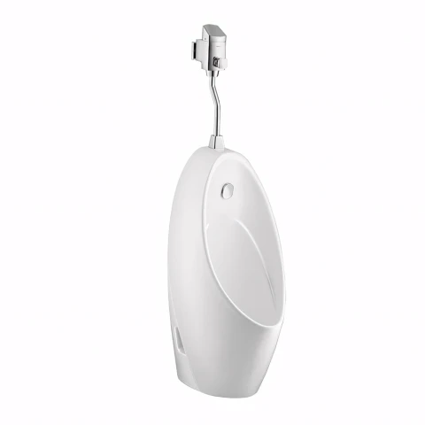 Ảnh Bồn tiểu nam treo tường Cotto C30207 1