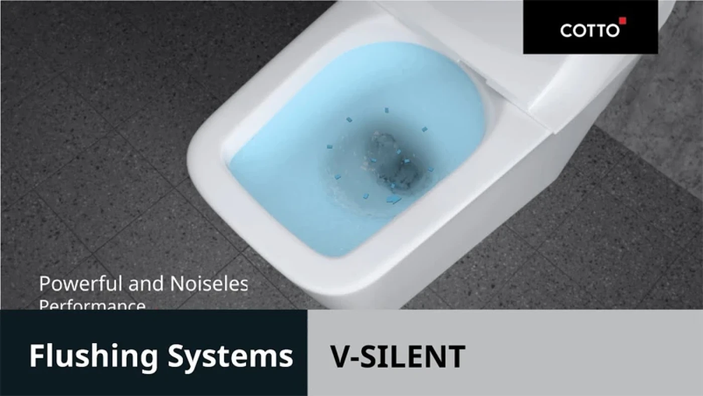 he thong xa v silent