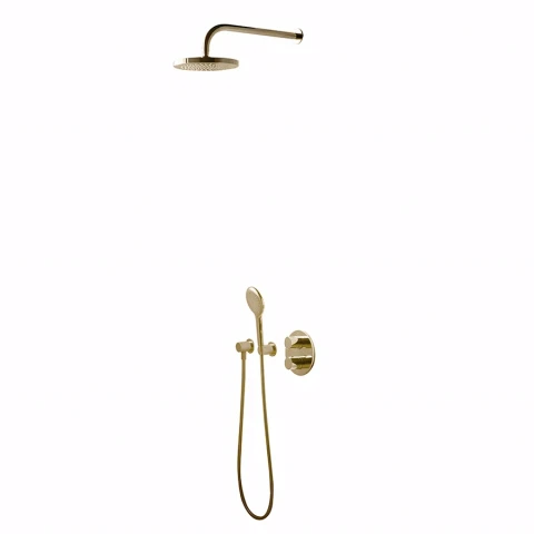 Sen tắm âm tường COTTO CPF301H1H2#GR2