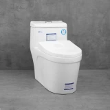 Bồn cầu 1 khối Densta DS 8065 KK 1