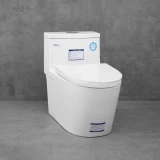 Bồn cầu 1 khối Densta DS 8103 KK 1