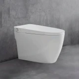 Bồn cầu âm tường Densta DS 502 KK 1