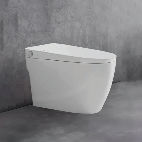 Bồn cầu âm tường Densta DS 502 KK