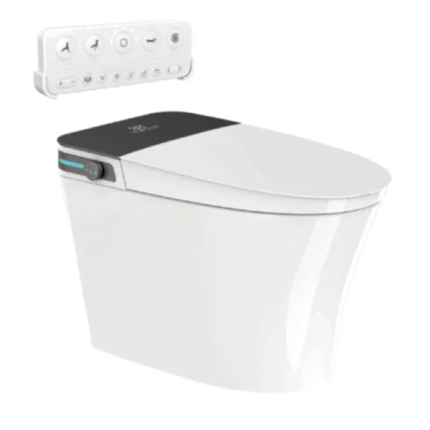 Ảnh Bồn cầu thông minh Densta DS TA – 767 DF 1