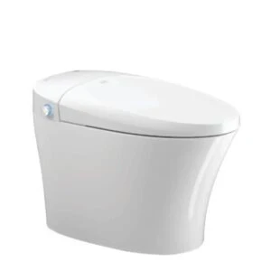 Bồn cầu thông minh Densta DS TA – 822 DF