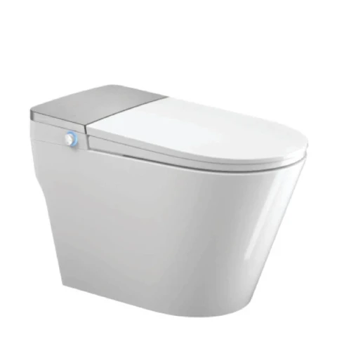 Bồn cầu thông minh Densta DS TA – 960 DF