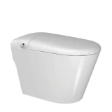 Bồn cầu thông minh Densta DS TA – T953 DF 1