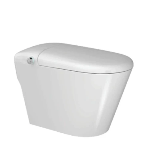 Bồn cầu thông minh Densta DS TA – T953 DF