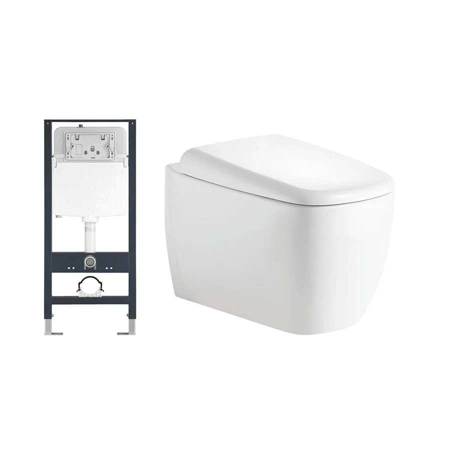 Bồn cầu âm tường D&K W206
