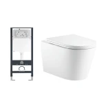 Bồn cầu âm tường D&K W207 1