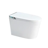 Bồn cầu thông minh D&K ST6901E 1