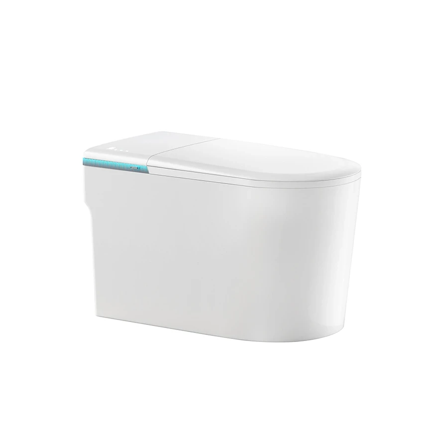 Ảnh Bồn cầu thông minh D&K ST6903E 1