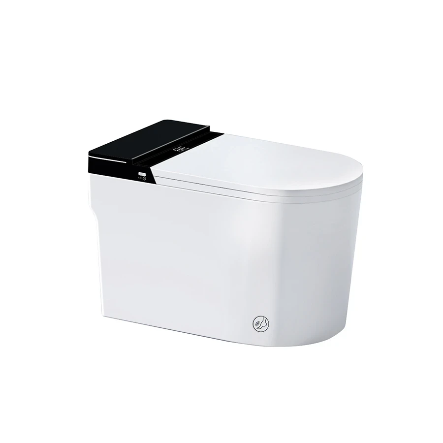 Bồn cầu thông minh D&K ST6904E