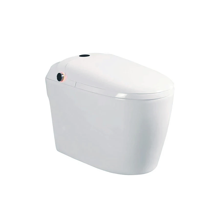 Ảnh Bồn cầu thông minh DK-AC1229 1