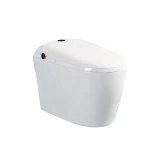 Bồn cầu thông minh DK-AC1229 1