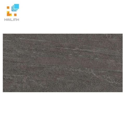 Ảnh Gạch Đồng Tâm 3060SAHARA009 1