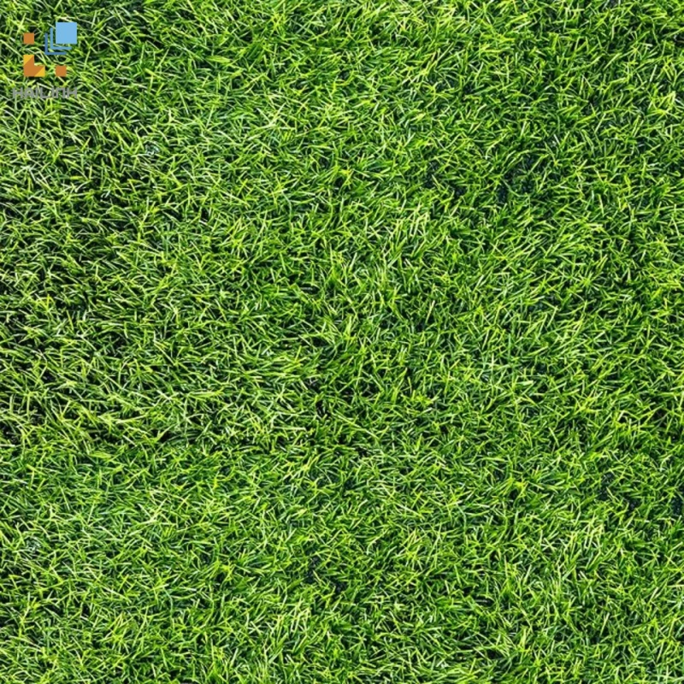 Gạch Đồng Tâm 4040GREENERY002