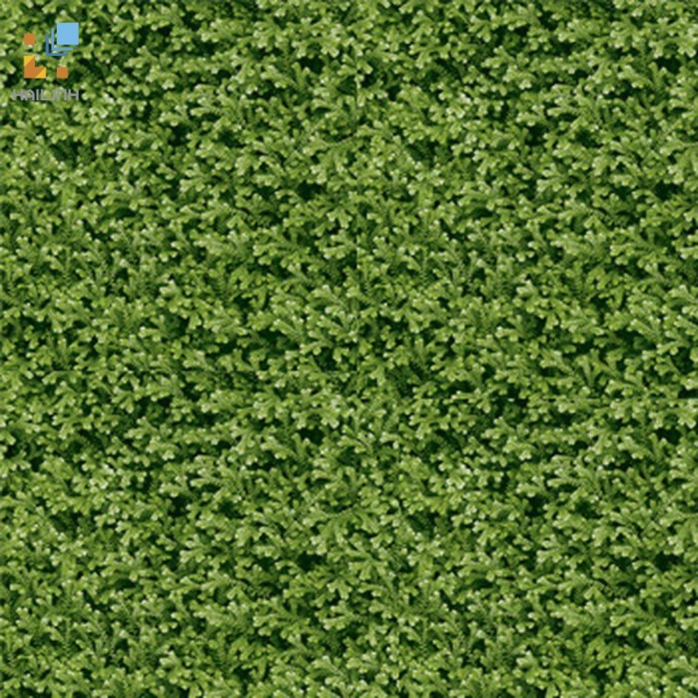 Gạch Đồng Tâm 4040THESEA001