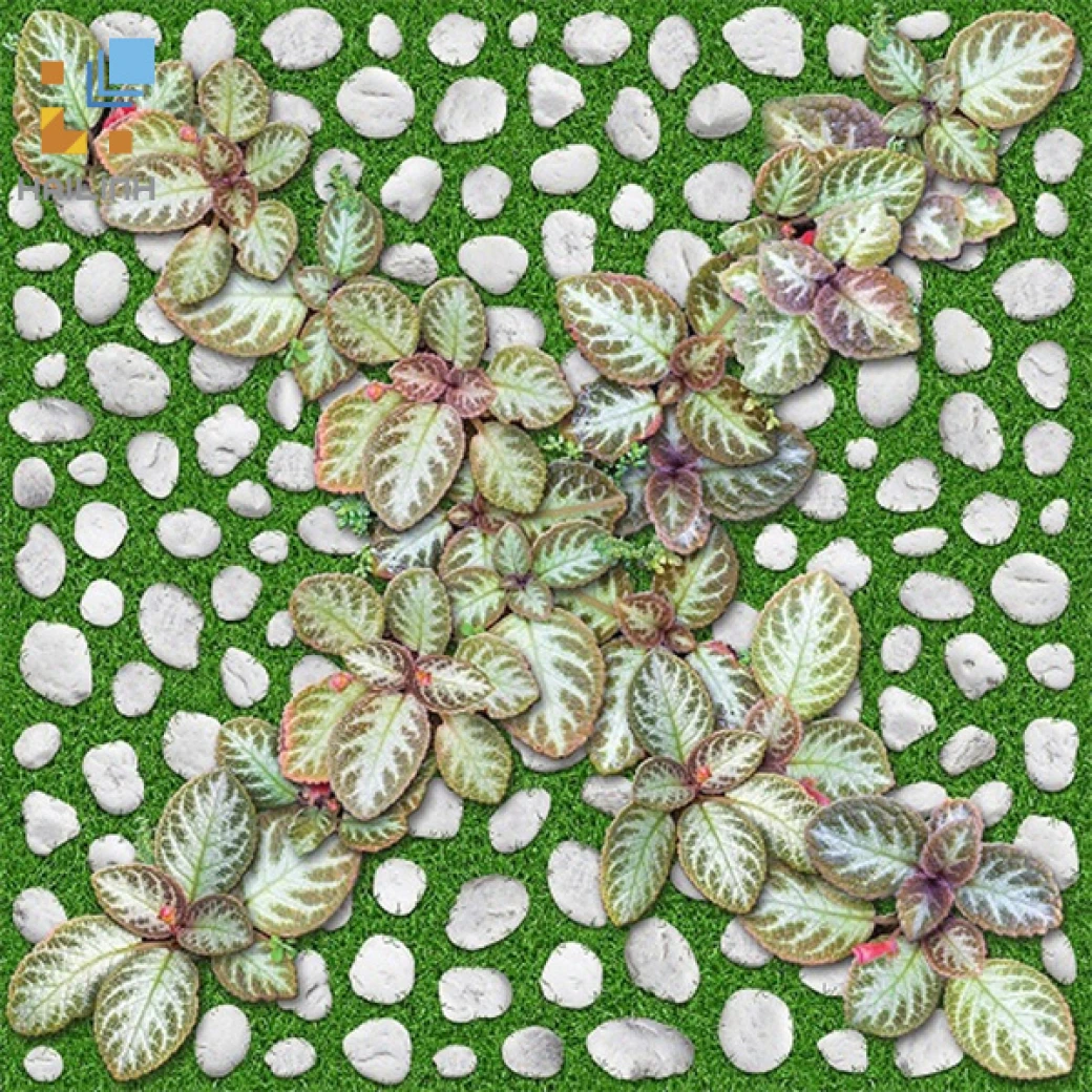 Gạch Đồng Tâm 4040GREENERY004