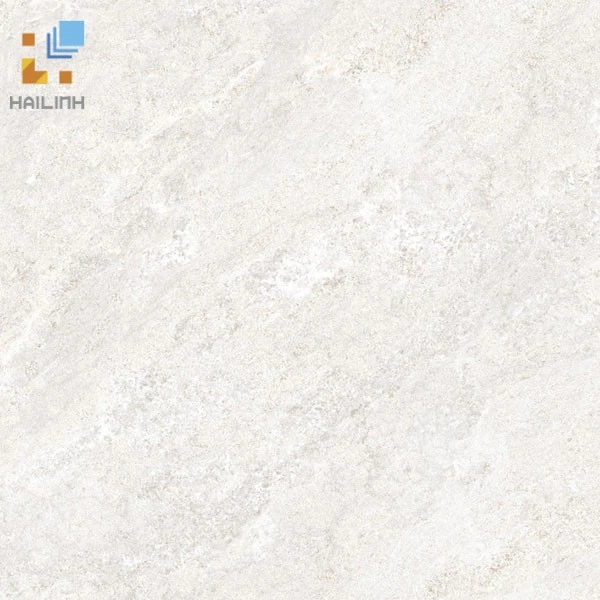 Gạch Đồng Tâm 6060BINHTHUAN005