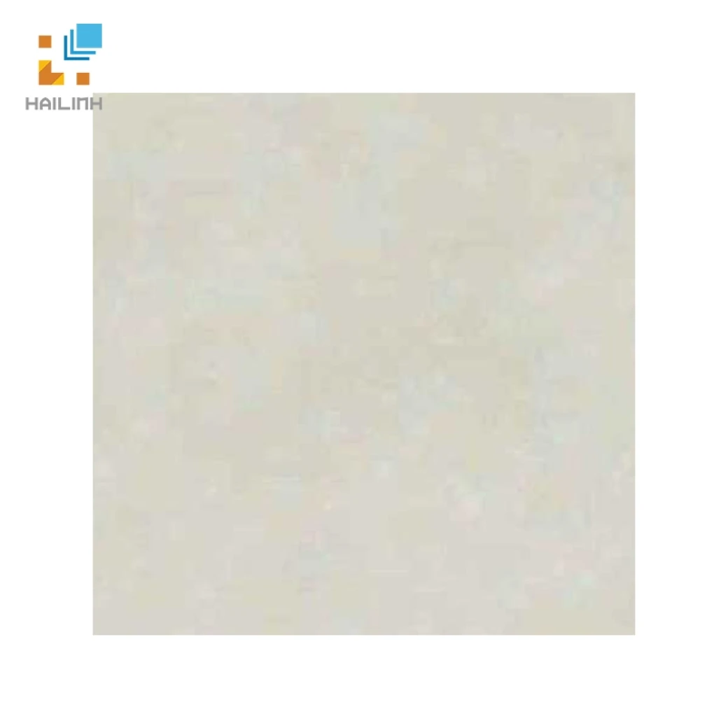 Gach Dong Tam 6060PLATINUM003