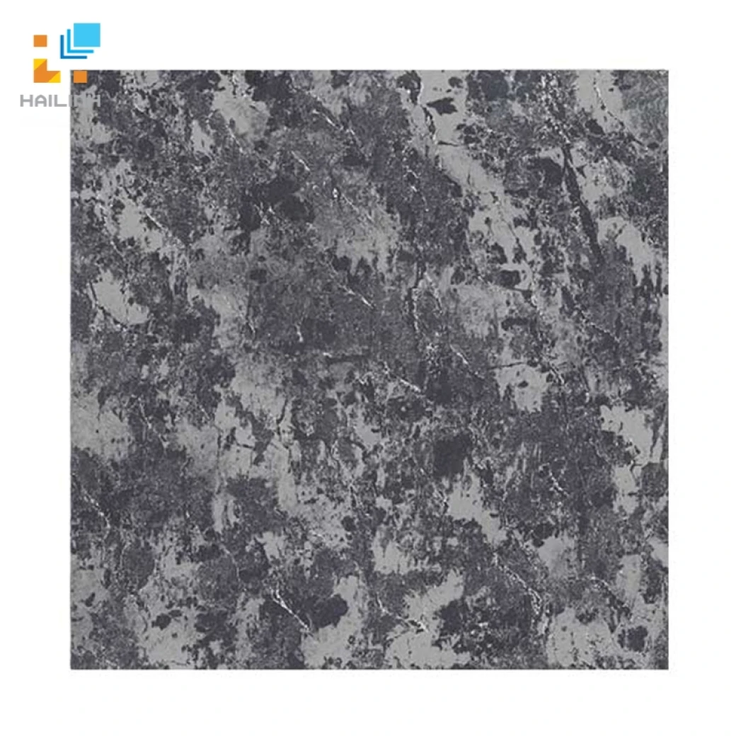 Gach Dong Tam 6060PLATINUM005