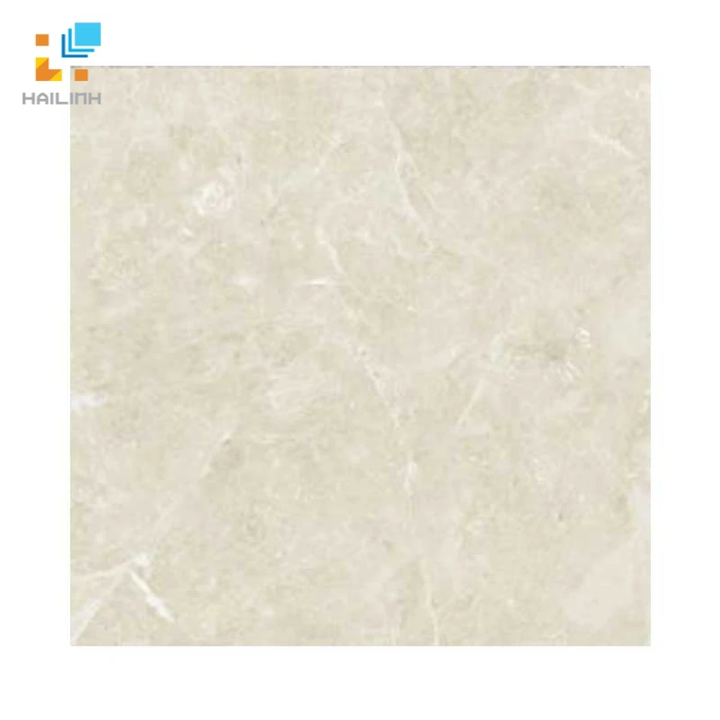 Gạch Đồng Tâm 6060TRUONGSON005-FP