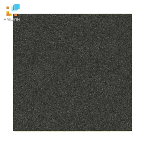 Ảnh Gạch Đồng Tâm 6060VICTORIA003 1