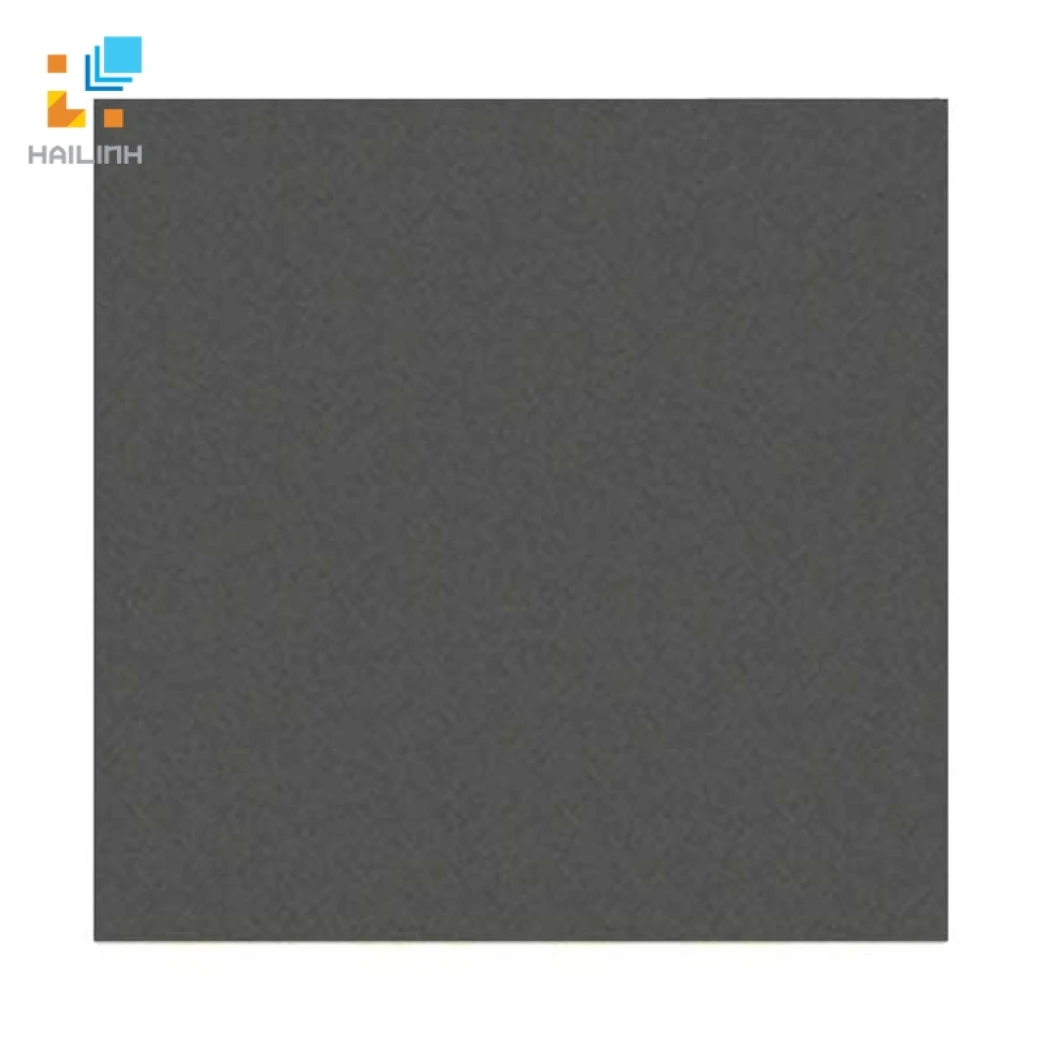 Gach Dong tam 6060VICTORIA008